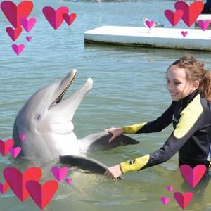 Meet your Posher, Sandy